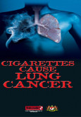 Merokok mengakibatkan kanser paru-paru (B. Inggeris)